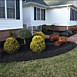 Flowerbed & Shrub Maintenance